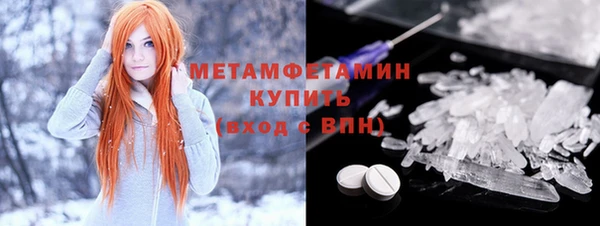 ПСИЛОЦИБИНОВЫЕ ГРИБЫ Дмитриев