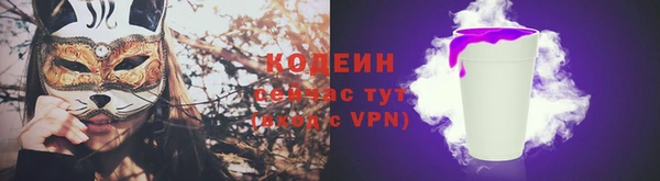 ПСИЛОЦИБИНОВЫЕ ГРИБЫ Дмитриев