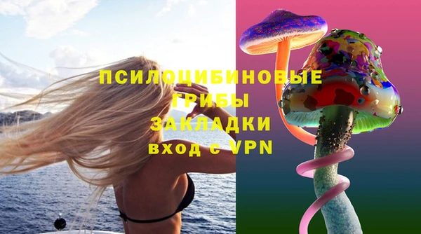 индика Усолье-Сибирское