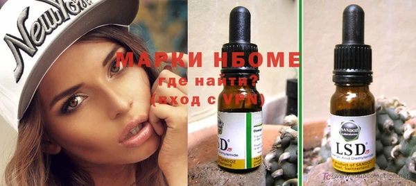 ПСИЛОЦИБИНОВЫЕ ГРИБЫ Дмитриев