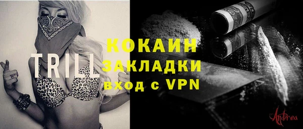 ПСИЛОЦИБИНОВЫЕ ГРИБЫ Дмитриев