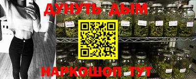 крисы Абакан