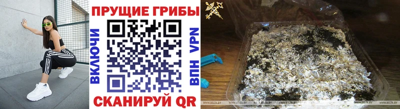 Галлюциногенные грибы Cubensis  блэк спрут маркетплейс  Сибай 