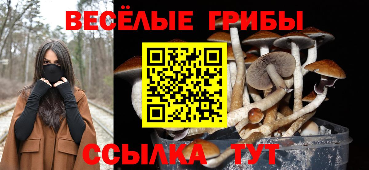Галлюциногенные грибы прущие грибы Сибай