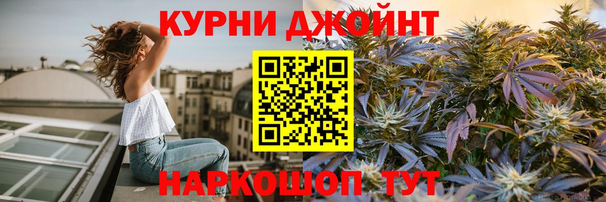 Конопля сатива Сибай